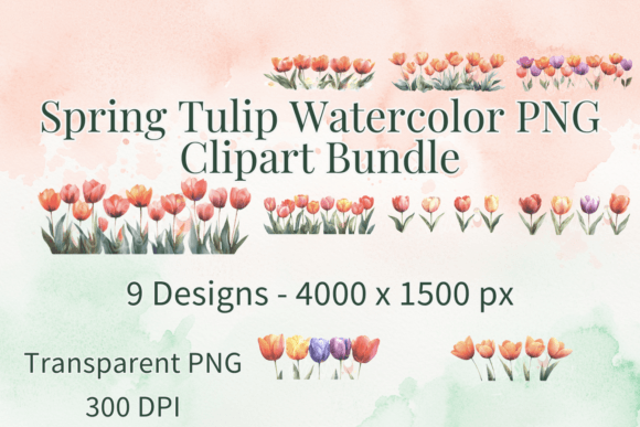Watercolour Botanical Tulip PNG